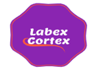 Labex Cortex