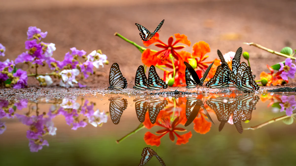 Dream Interpretation of Butterfly Colors