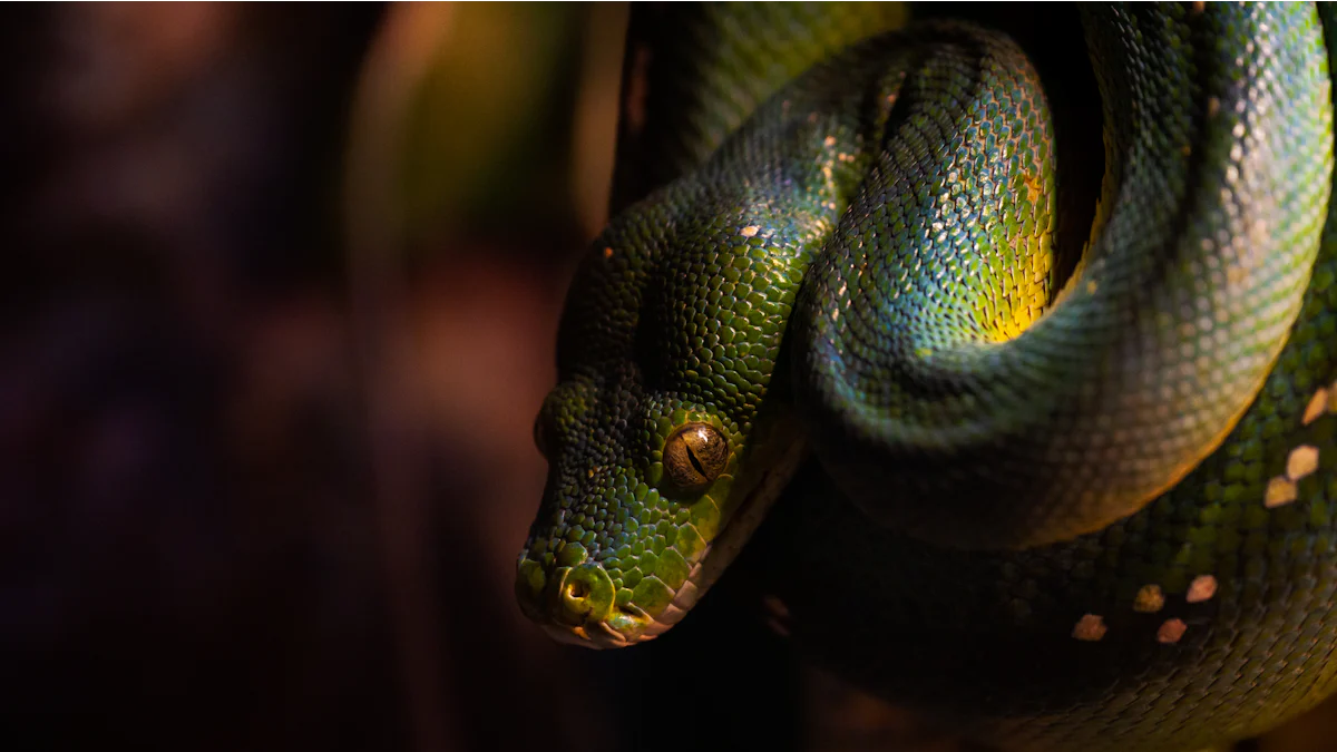 Common Cultural and Mythological Interpretations of Snake Dreams