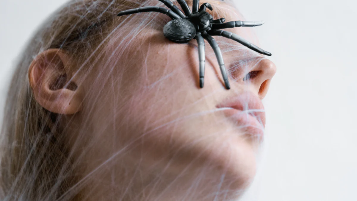 Common Themes in Spider Dreams